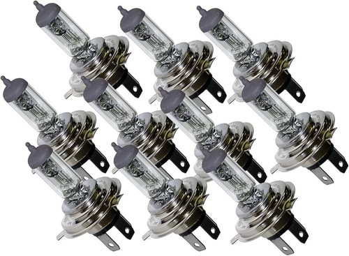 Single boxed bulbs - x,