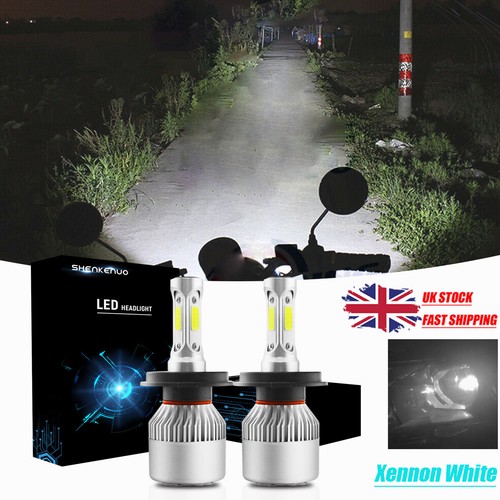 Xenon white headlight - white,