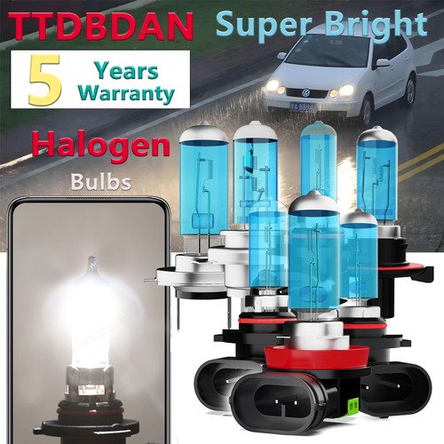 Pcs halogen 100w clear - pcs,